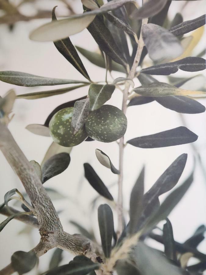 Greca Mare-Traditional Greek Boutique Apt. Псахудиа Екстериор снимка
